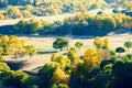 The autumn trees on the grassland landscape Royalty Free Stock Photo