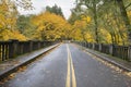 Autumn Trees Historic Columbia Highway Bridge