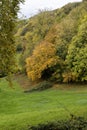 Autumn Trees at Horton Court