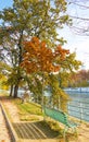 The autumn trees on Ile aux Cygnes, Paris, France. Royalty Free Stock Photo