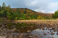 Of Autumn trees by the lake and Adirondacks mountain on the Otherside