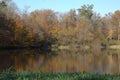 Autumn trees on lake coast Royalty Free Stock Photo