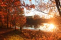Autumn trees by lake during sun set Royalty Free Stock Photo