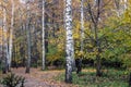 Autumn trees, leaves. Betuful autumn landscape. Uman, Ukraine. The most beautiful plase in Europe. National Ukraine park Sofiivka Royalty Free Stock Photo