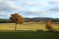Autumn trees in meadows Royalty Free Stock Photo