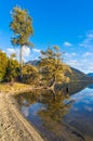 Autumn trees and mountain reflected in lake Royalty Free Stock Photo