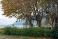 Italy; landscape of lake Como in autumn