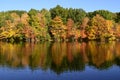 Autumn trees near pond with mallard ducks, Canada geese on water reflection Royalty Free Stock Photo