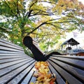 Autumn trees outdoor chair park
