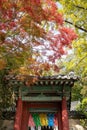 Autumn trees over wooden red door. Red and green leaves, autumn vegetation. Colorful paper lanterns hanging on the ceiling. Royalty Free Stock Photo