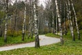 Autumn trees in the park Kislovodsk. Royalty Free Stock Photo