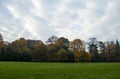 Autumn trees in the park. In the foreground a green lawn