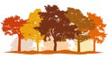 Autumn trees park, forest silhouette. Beautiful autumn colors of trees: red, orange, brown. Vector illustration