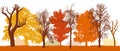 Autumn trees in park silhouette, vector illustration. Bare trees, colorful silhouette of different trees Royalty Free Stock Photo