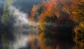 Autumn trees with red and yellow leaves are reflected in the water of the lake with the fog. Royalty Free Stock Photo