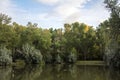 Autumn trees reflect in the lake