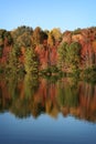 Autumn Trees reflected in blue lake in Fall