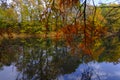 autumn trees reflected in the surface water of the lake in Boschi di Carrega, Emilia-Romagna, Italy Royalty Free Stock Photo