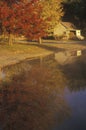 Autumn Trees Reflected in Water, Connecticut