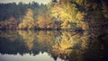 Autumn trees reflecting on lake