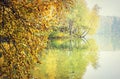 Autumn trees reflecting on lake