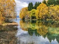 Autumn trees reflecting on the waters of the Lake Ruataniwha on the South Island of New Zealand