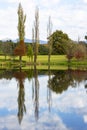 Autumn trees reflection on mirror-like pond Royalty Free Stock Photo