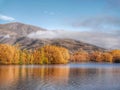 An autumn trees reflection at Wairepo Arm lake in the Otago region of the South Island of New Zealand Royalty Free Stock Photo