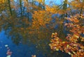 Autumn trees reflection in water Royalty Free Stock Photo