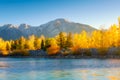 Autumn trees on the river bank. Landscape during sunrise. Mountains and forest. Reflections on the surface of the river. Royalty Free Stock Photo