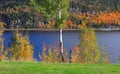 Autumn trees by river Saint Maurice