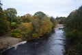 Autumn trees by the river swale