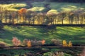 Golden racking light autumn trees Peak district UK