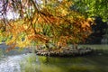 Autumn trees in royal villa italy Royalty Free Stock Photo