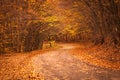 Fall leaves covering rural road Royalty Free Stock Photo