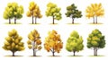 autumn trees, set of vector illustrations of cute trees and shrubs: oak, birch, aspen, linden, fir, sun and dog, different shapes Royalty Free Stock Photo