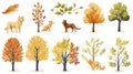 autumn trees, set of vector illustrations of cute trees and shrubs: oak, birch, aspen, linden, fir, sun and dog, different shapes Royalty Free Stock Photo