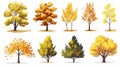 autumn trees, set of vector illustrations of cute trees and shrubs: oak, birch, aspen, linden, fir, sun and dog, different shapes Royalty Free Stock Photo