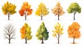 autumn trees, set of vector illustrations of cute trees and shrubs: oak, birch, aspen, linden, fir, sun and dog, different shapes Royalty Free Stock Photo