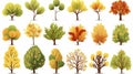 autumn trees, set of vector illustrations of cute trees and shrubs: oak, birch, aspen, linden, fir, sun and dog, different shapes Royalty Free Stock Photo