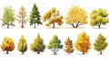 autumn trees, set of vector illustrations of cute trees and shrubs: oak, birch, aspen, linden, fir, sun and dog, different shapes Royalty Free Stock Photo