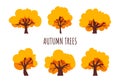 Autumn trees set. Yellow tree, flat style. Isolated icons. Vector Royalty Free Stock Photo