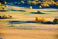 The autumn trees and sheep on the meadows Royalty Free Stock Photo