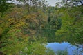 Autumn trees on the shore of the Blue Lake on an early cloudy morning Royalty Free Stock Photo