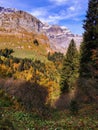 Autumn trees on slopes of the Glarus Alp mountains Royalty Free Stock Photo