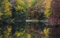 Autumn trees by small lake with its reflections in the lake during autumn time. Royalty Free Stock Photo