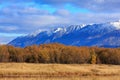 Autumn trees and snowy mountains, South Island, New Zealand Royalty Free Stock Photo