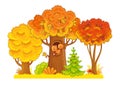 Autumn trees stand on a white background with a squirrel in the hollow