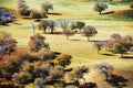 The autumn trees on the steppe Royalty Free Stock Photo