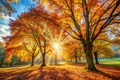 Autumn Trees in Sun Rays Autumn Fall Royalty Free Stock Photo